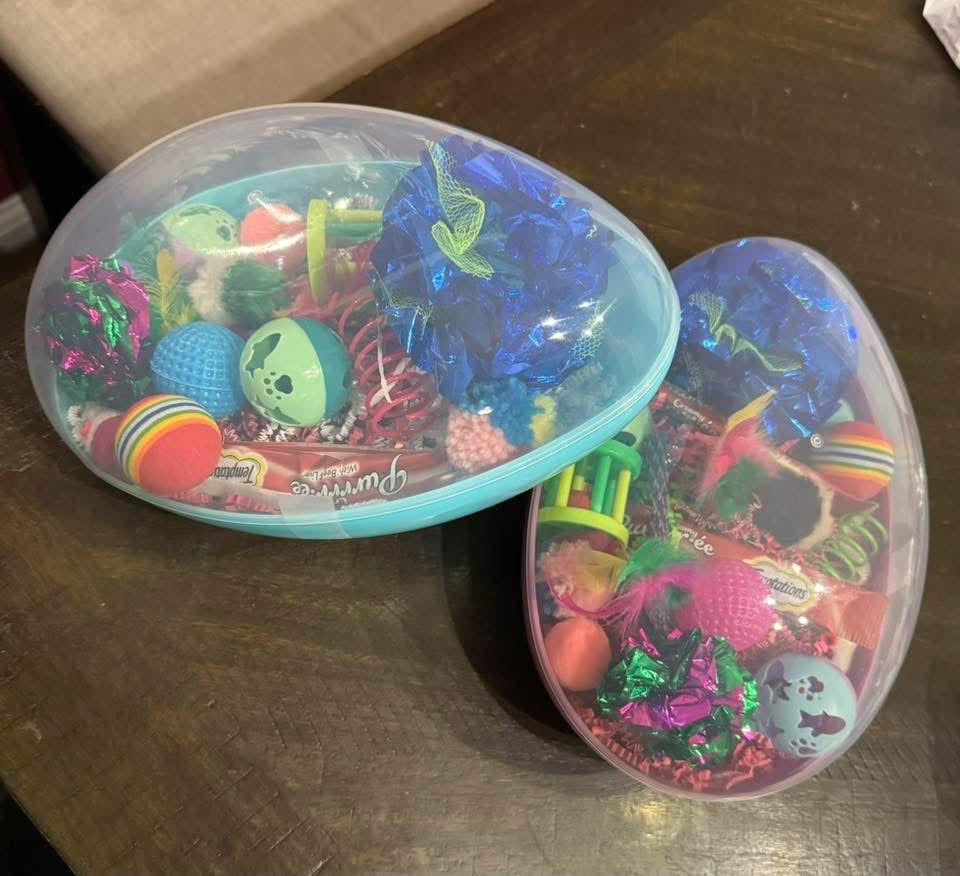 Egg My Yard - Cat Basket