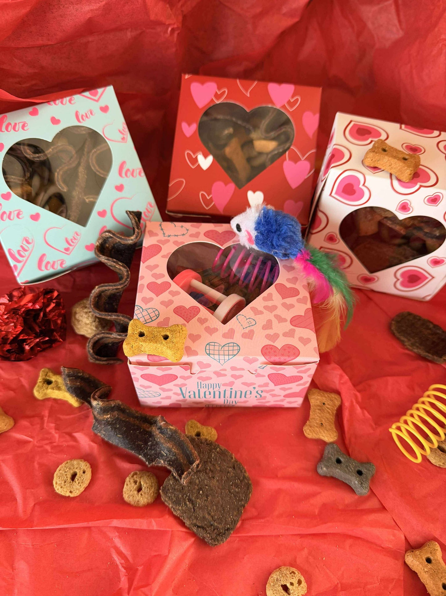 Cat Valentine's Paw-Grams