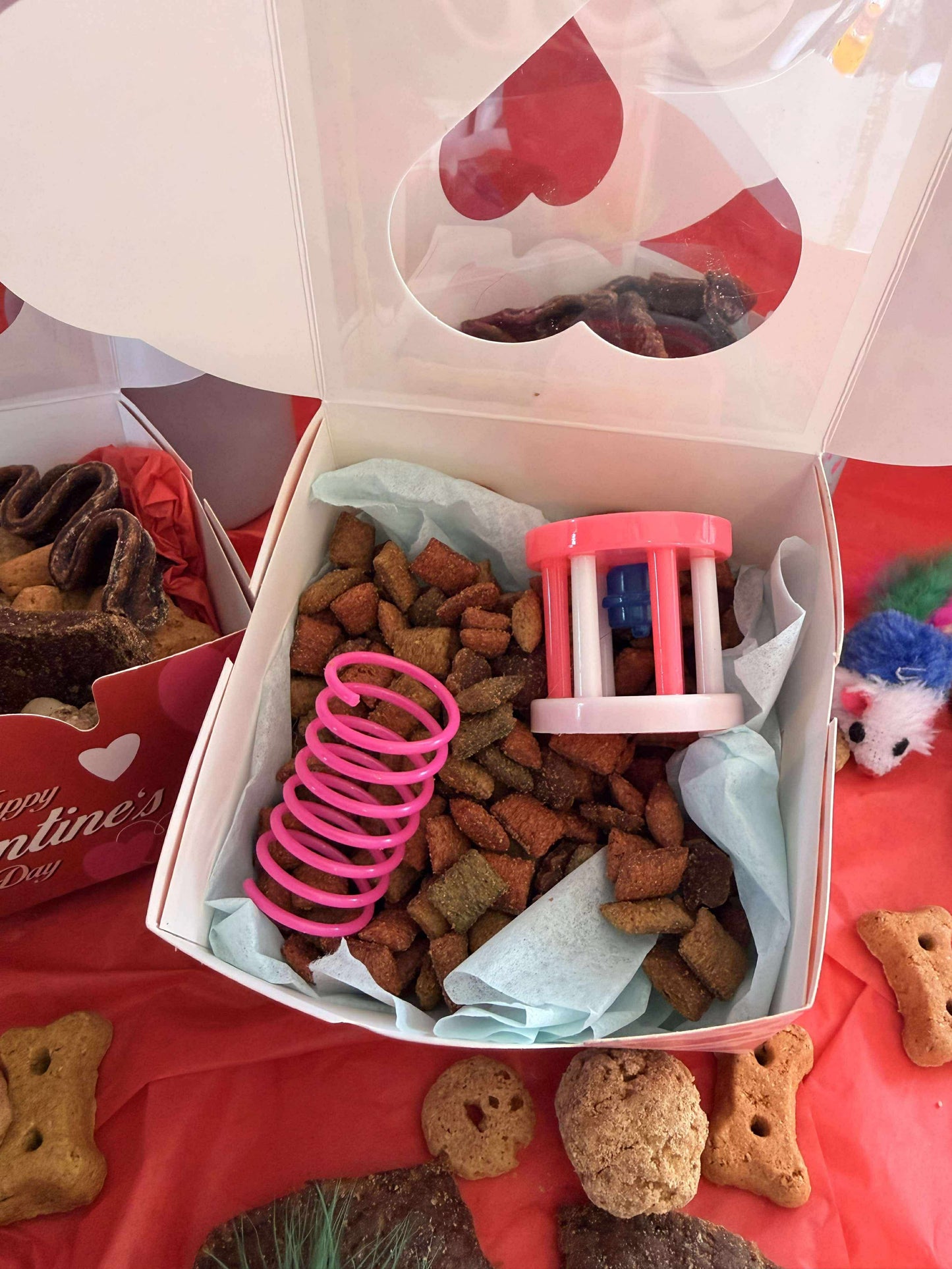 Cat Valentine's Paw-Grams