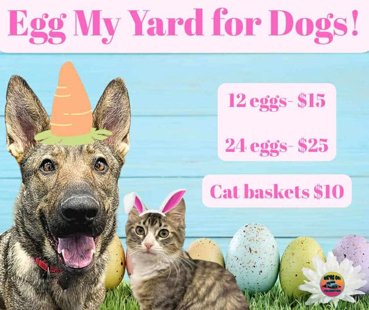 Egg My Yard - Cat Basket